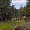 photo thumbnail #13