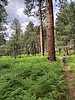 photo thumbnail #14