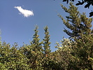 photo thumbnail #12