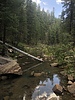photo thumbnail #6