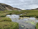 photo thumbnail #8