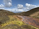 photo thumbnail #10