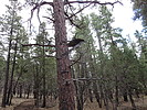photo thumbnail #12