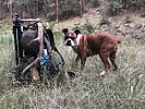 photo thumbnail #2