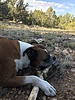 photo thumbnail #2