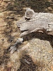 photo thumbnail #15