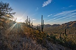 photo thumbnail #14