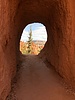 photo thumbnail #15