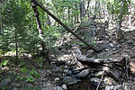 photo thumbnail #14