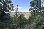 photo thumbnail #6