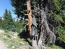 photo thumbnail #1