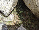 photo thumbnail #13