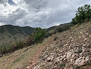 photo thumbnail #2