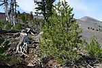 photo thumbnail #13