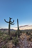 photo thumbnail #12