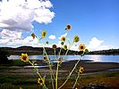 photo thumbnail #15