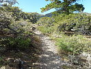 photo thumbnail #7