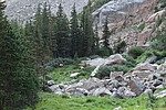 photo thumbnail #7