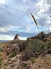 photo thumbnail #12