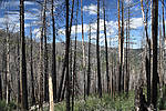photo thumbnail #4