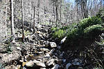photo thumbnail #15