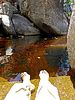 photo thumbnail #15