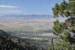 photo thumbnail #7