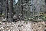 photo thumbnail #1