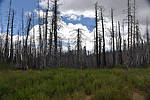 photo thumbnail #6