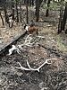 photo thumbnail #7