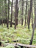 photo thumbnail #14