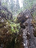 photo thumbnail #15