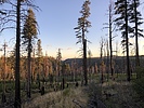 photo thumbnail #3