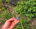 photo thumbnail #7