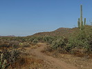 photo thumbnail #13
