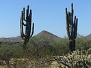 photo thumbnail #15