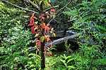 photo thumbnail #7