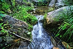 photo thumbnail #15