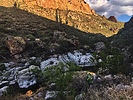 photo thumbnail #5