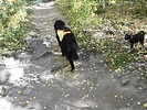 photo thumbnail #2