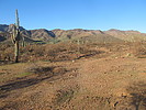 photo thumbnail #3