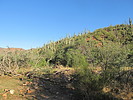photo thumbnail #8