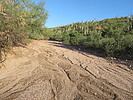photo thumbnail #9