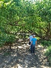 photo thumbnail #2