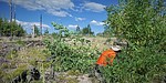 photo thumbnail #12