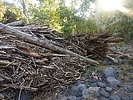 photo thumbnail #2