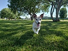 photo thumbnail #14
