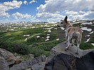 photo thumbnail #5