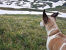 photo thumbnail #9