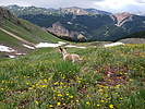 photo thumbnail #13
